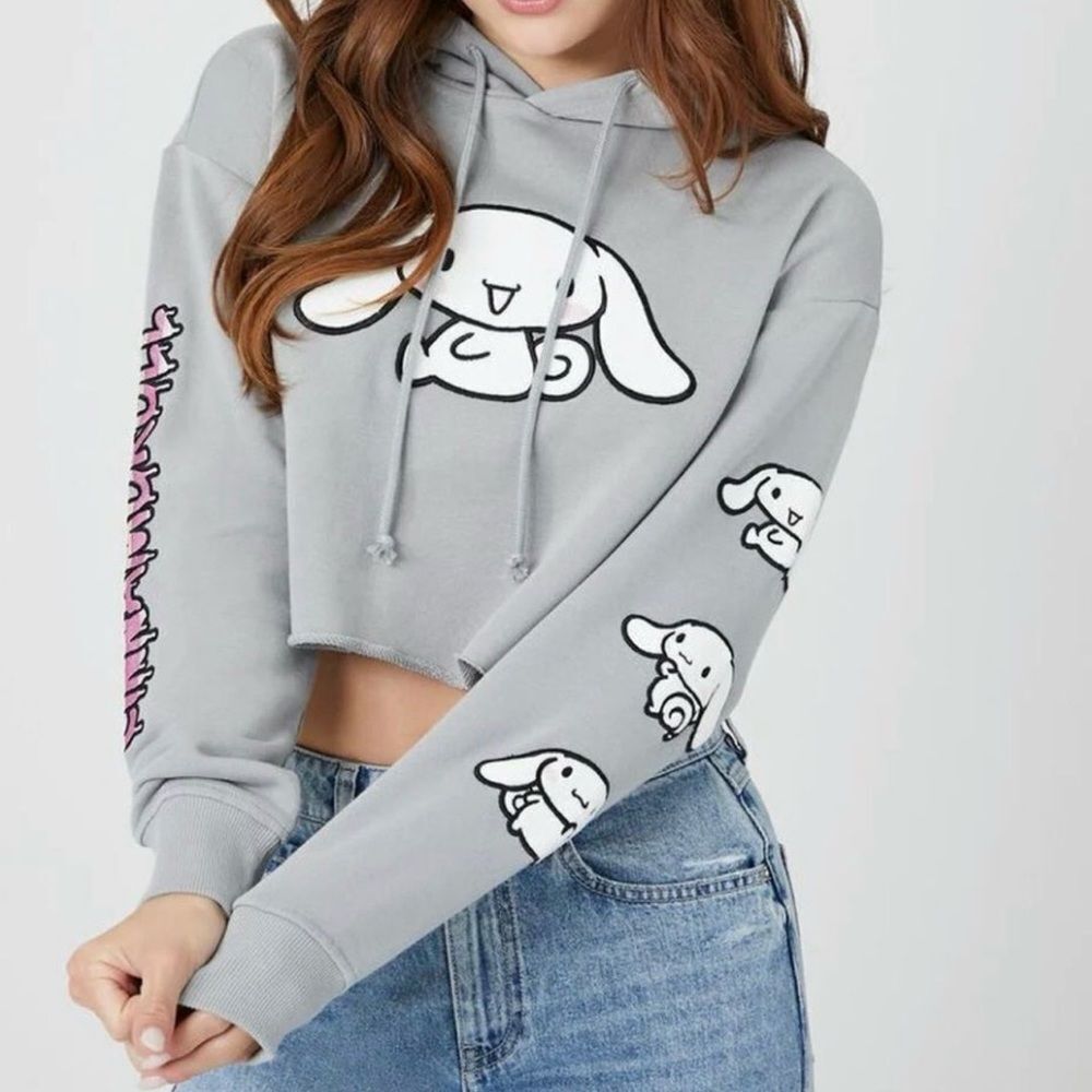 Hello Kitty Cinnamoroll Grey Cropped Hoodie Women’s Medium